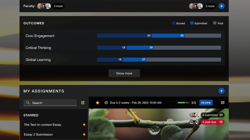 Screenshot of learning outcomes interface showing institution-level assessment