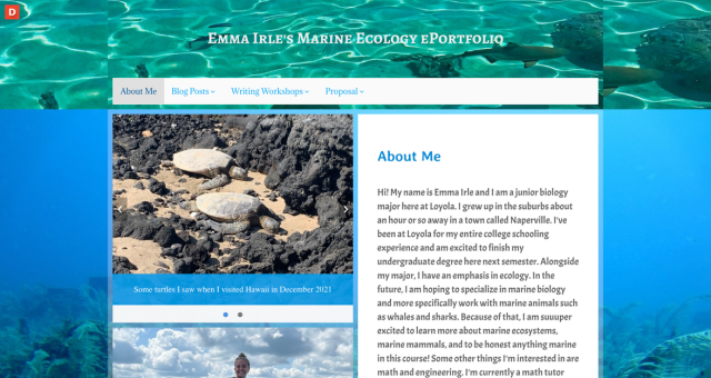 Screenshot of Emma Irle's ePortfolio from Loyola University Chicago
