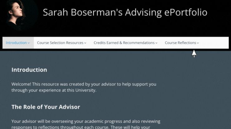 Portfolio example: Advising ePortfolio
