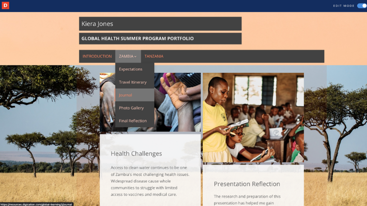 Portfolio example: Global Learning ePortfolio